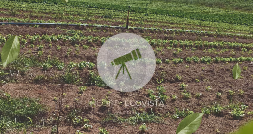 Ibiúna – terrenos residenciais com 500m² em área próxima ao asfalto (300m)