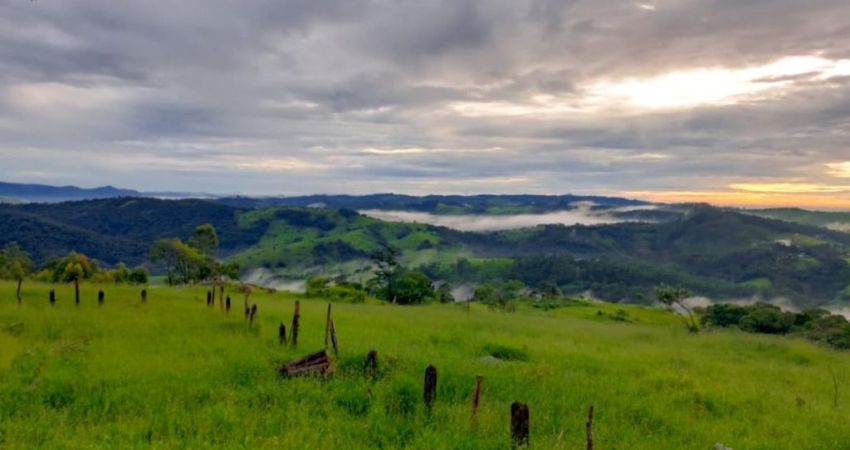Seu Terreno de 1000m² em São João Novo, São Roque – Invista com
