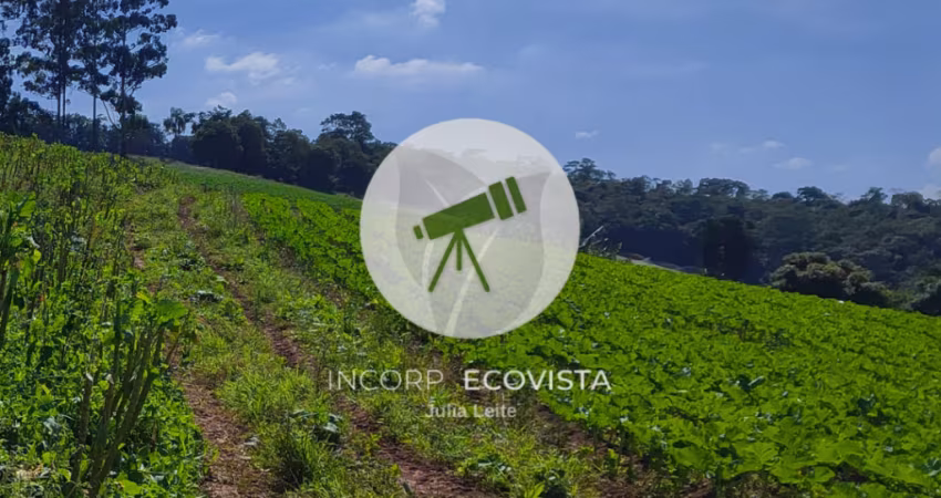 Terrenos de 500m² à venda em Ibiúna – a apenas 300m do asfalto