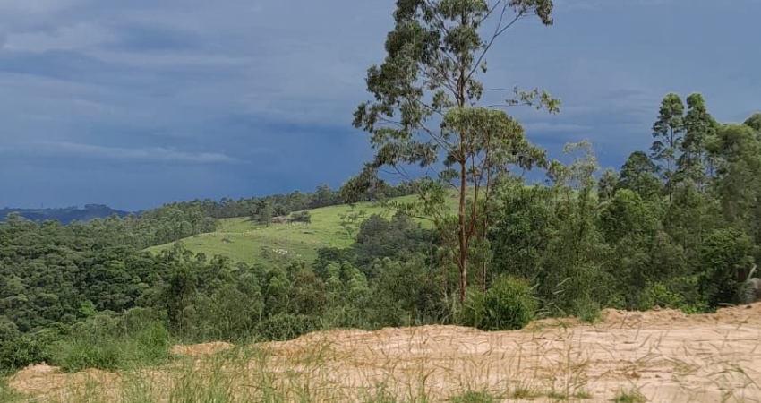 Bela Vista: A Combinação Perfeita entre Natureza e Conforto