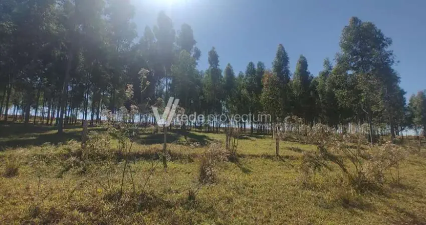 Terreno comercial à venda na Avenida dos Pioneiros, 475, Bonfim, Paulínia