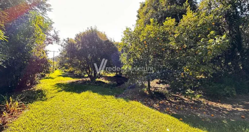 Terreno comercial à venda na Rodovia Professor Zeferino Vaz, s/n°, Betel, Paulínia