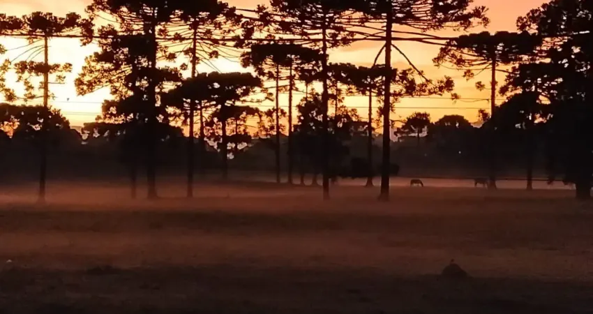 Veja este sobrado de alto padrão — com banheira dupla e uma vista simplesmente única!