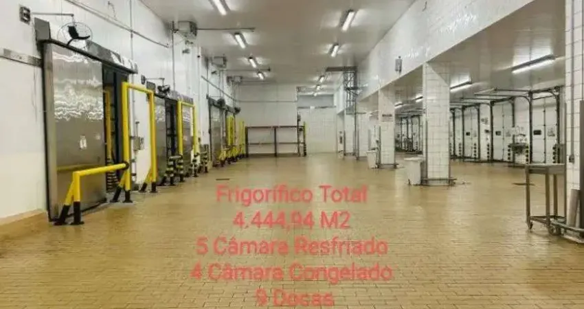 CÂMARAS FRIA São Paulo - SP