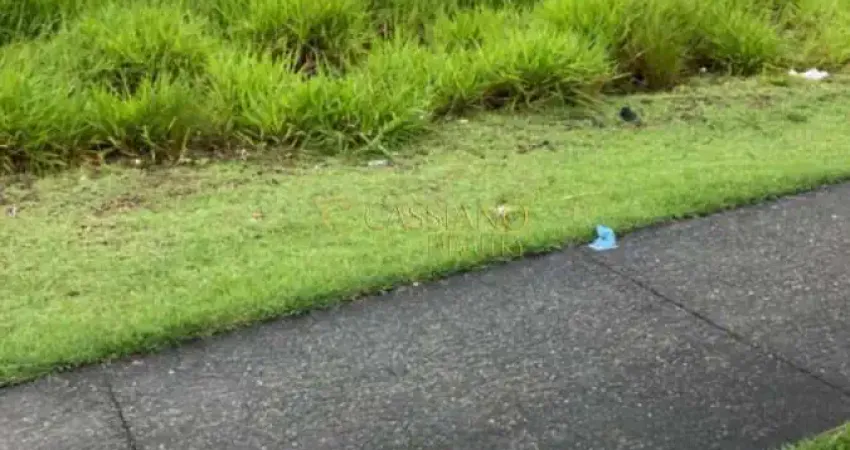 Terreno à venda no Loteamento Floresta, São José dos Campos 