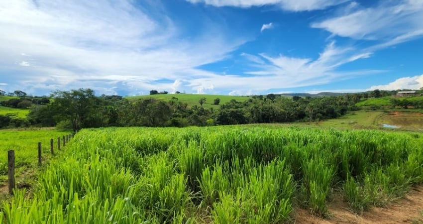 -Fazenda 10hectares, excelente localização, terra cultura, dupla aptidão chácara, rica em agua