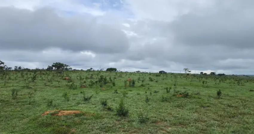-Fazenda, localização privilegiada, para gado, terra boa, rica em água, nascentes, barragens, casa sede e de apoio oportunidade de negócio