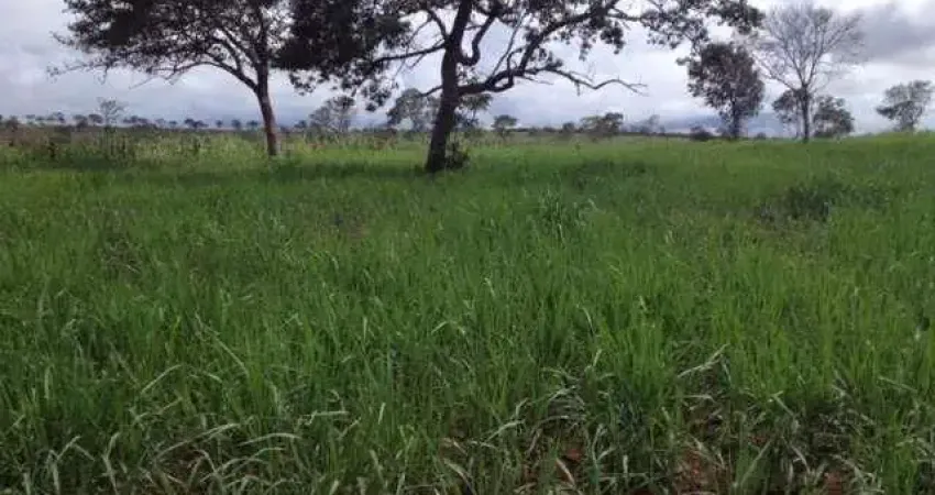 Fazenda 20900 hectares Novo são Joaquim dupla aptidão  confinamento