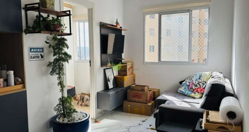 Aluguel de Apartamento em Várzea da Barra Funda, São Paulo-SP: 2 quartos, 1 sala, 1 banheiro, 35 m² de área.