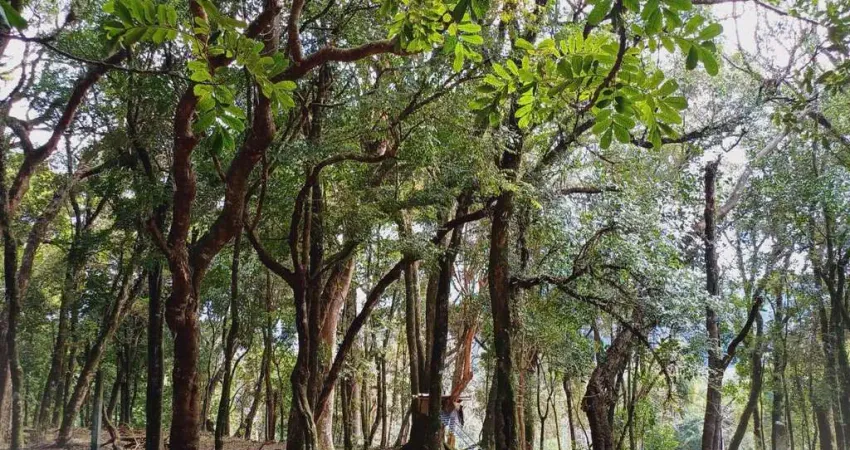 Terreno à venda no bairro São Virgílio 350.000 em Caxias do Sul/RS