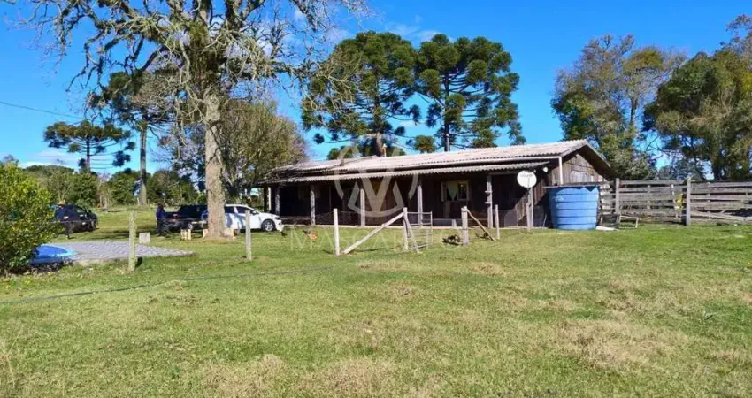 Chácara / sítio com 3 quartos à venda em Criúva, Caxias do Sul