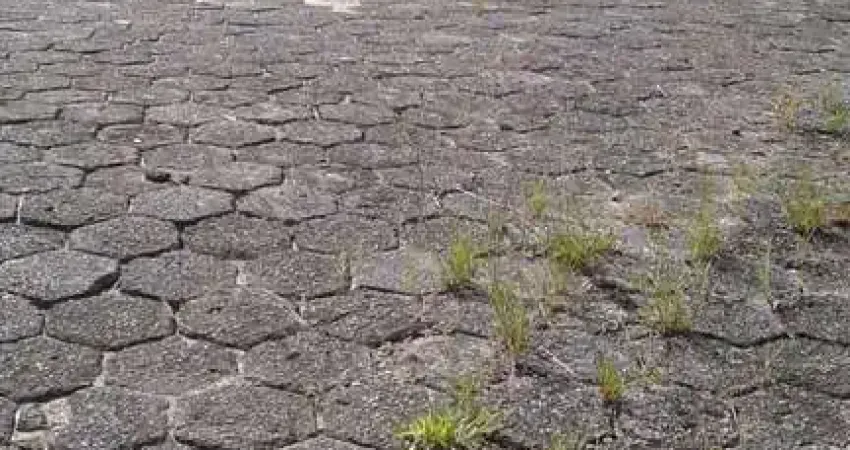 Terreno comercial à venda na Rodovia BR381, KM 745, Caiçara, Belo Horizonte