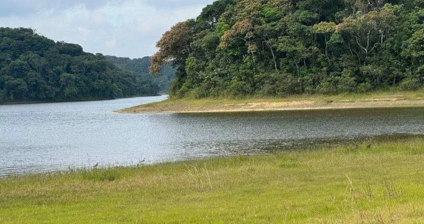 Chácara com 3 dormitórios à venda, 2010 m² por R$ 800.000 - Parque das Garças - Santo André/SP