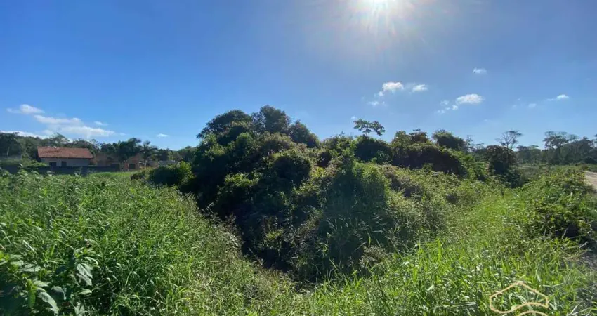 Terreno de esquina com área total de 442m²- balneário barra do sul- salinas