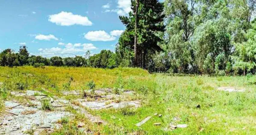 Excelente terreno industrial na cic com 10.000m² - em cuitiba!