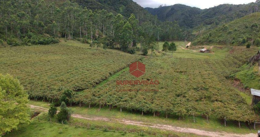 Chácara à venda 3,937 m² por R$ 680.000 - Pinheiral - Major Gercino/SC