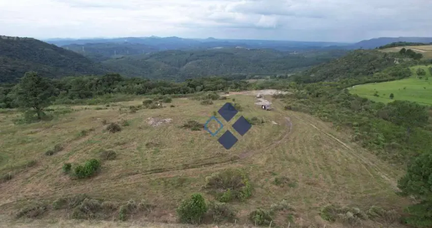 Área à venda, 2000 m² por r$ 1.999.000,00 - são luiz do puruna - balsa nova/pr