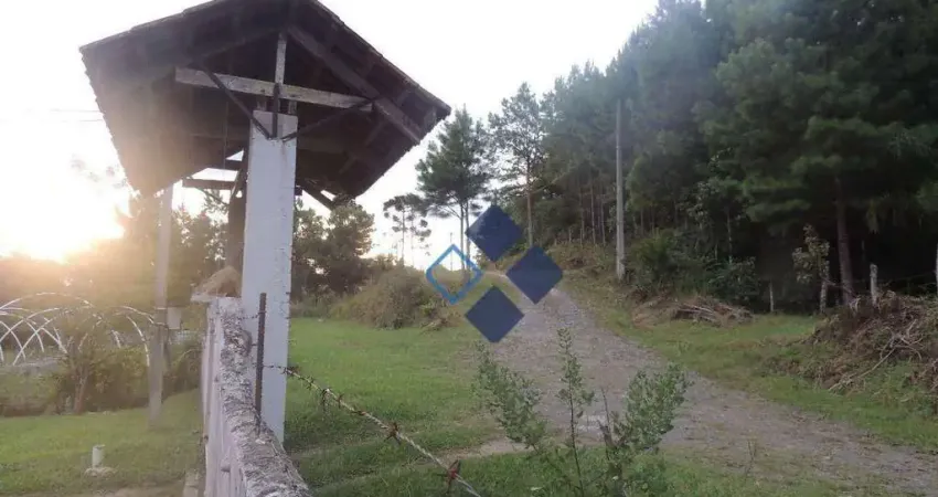 Chácara / sítio com 4 quartos à venda na Área Rural, 646, Zona Rural, Tijucas do Sul