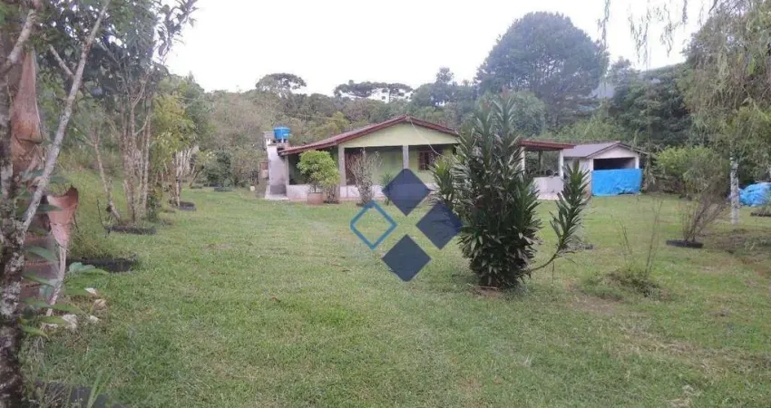 Chácara / sítio com 4 quartos à venda na Área Rural, 646, Zona Rural, Tijucas do Sul