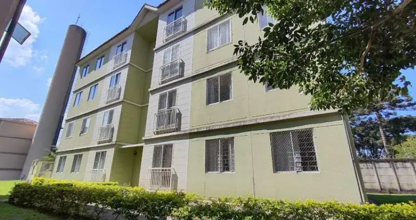 Apartamento com 3 quartos  à venda, 55.00 m2 por R$250000.00  - Afonso Pena - Sao Jose Dos Pinhais/PR