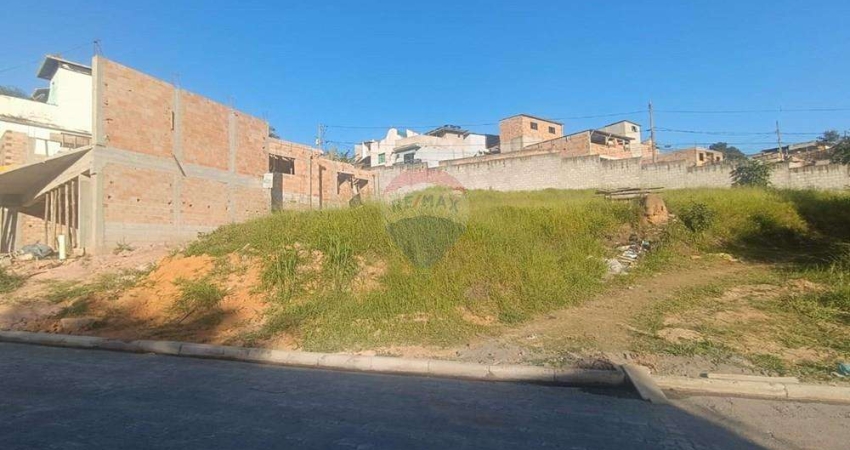 Terreno à venda no Granja das Hortênsias, Conselheiro Lafaiete 