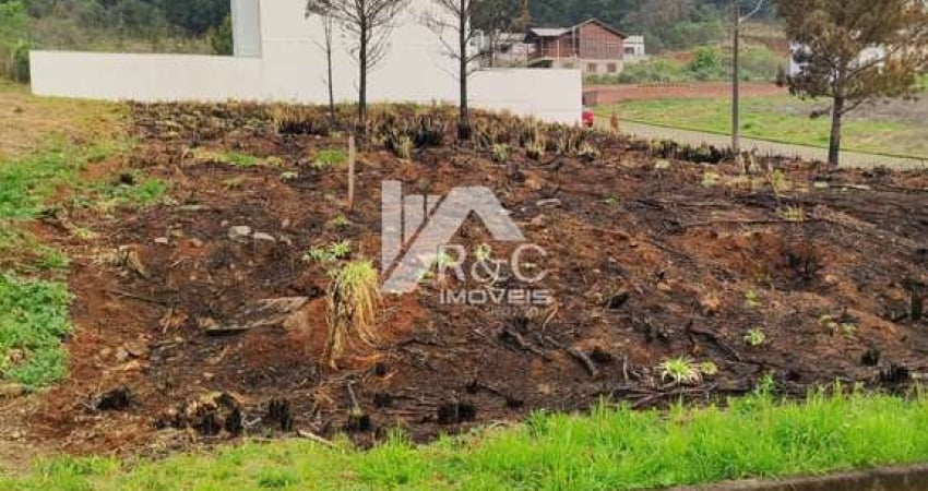 Terreno à venda na Estrada Municipal Avelina Tomazzoni Piccoli, 1, Monte Bérico, Caxias do Sul