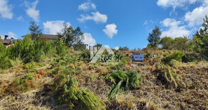 Terreno à venda na Rua Dorivia Ferrasso dos Reis, 1, Desvio Rizzo, Caxias do Sul
