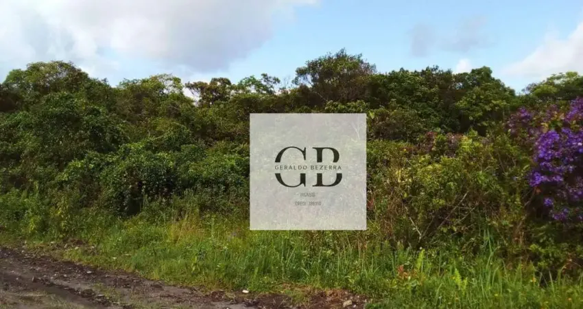 Terreno à venda no Jardim Coronel, Itanhaém 
