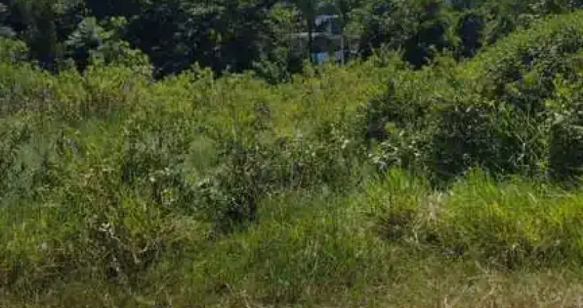VENDE-SE OTIMO TERRENO COM ESCRITURA EM ITANHAÉM R$35 MIL!!!