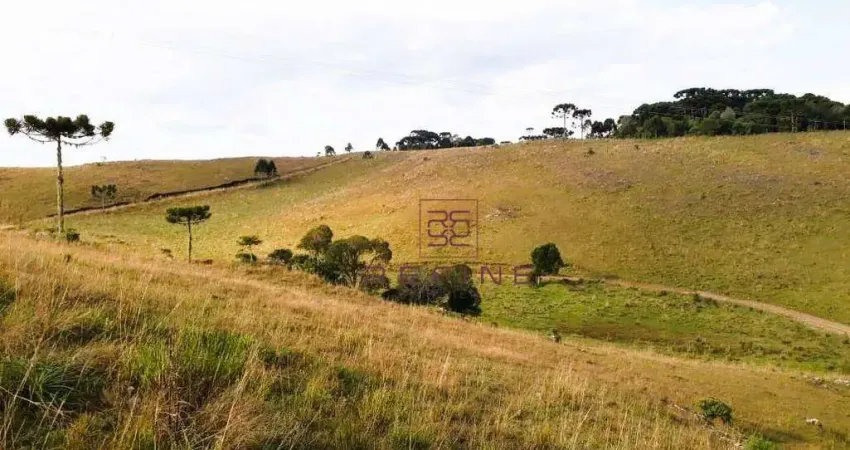 Sítio à venda, 343000 m² por R$ 1.007.000,00 - Zona Rural - São Francisco de Paula/RS