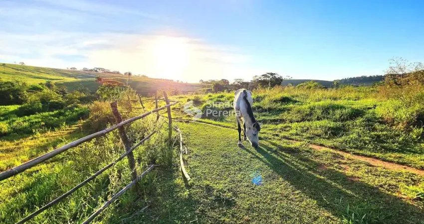 Sítio à venda, São Francisco de Assis, Matias Barbosa, MG