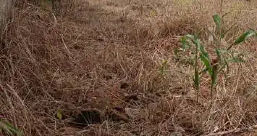 Terreno à venda na Antônio Sabino, 2, Residencial Florença, Anápolis