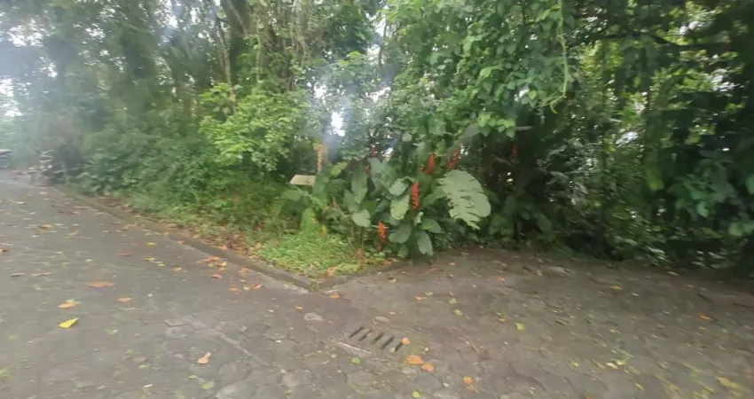 Terreno à venda no Anita Garibaldi, Joinville 