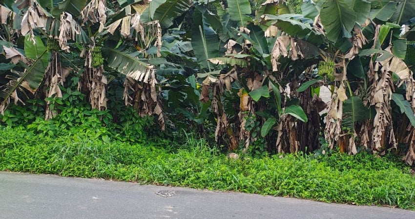 Terreno à venda no Anita Garibaldi, Joinville 