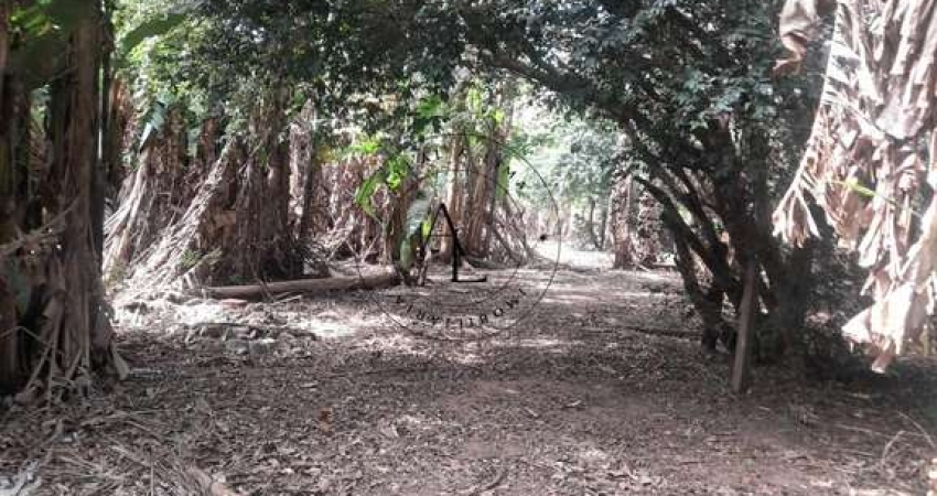 Sua Chácara dos Sonhos em Campinas: Espaço, Conforto e Natureza em Harmonia!