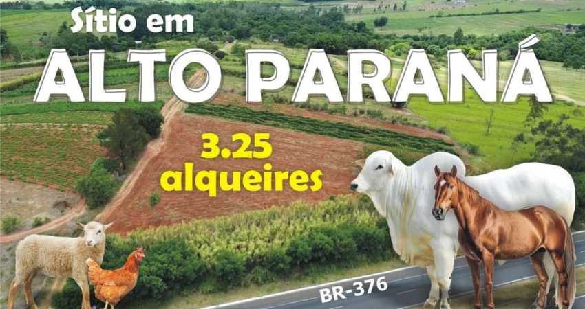 Chácara / sítio à venda na Br376, 100, Zona Rural, Alto Paraná
