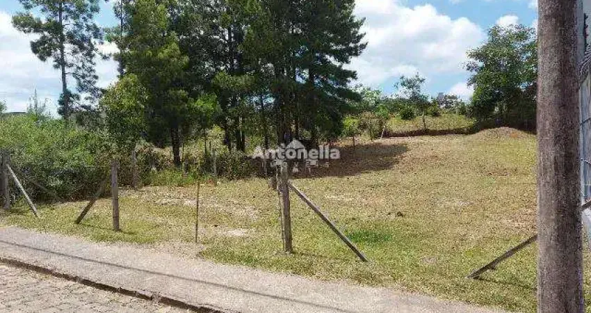 Terreno à venda no Santa Catarina, Caxias do Sul 