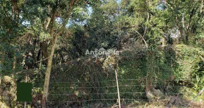 Terreno à venda na Bela Vista, Caxias do Sul 