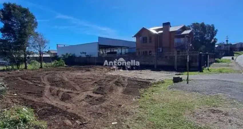 Terreno à venda no Parque Oasis, Caxias do Sul 