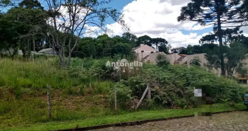 Terreno à venda na Ana Rech, Caxias do Sul 