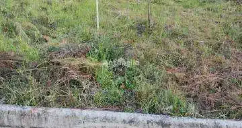 Terreno à venda no Desvio Rizzo, Caxias do Sul 