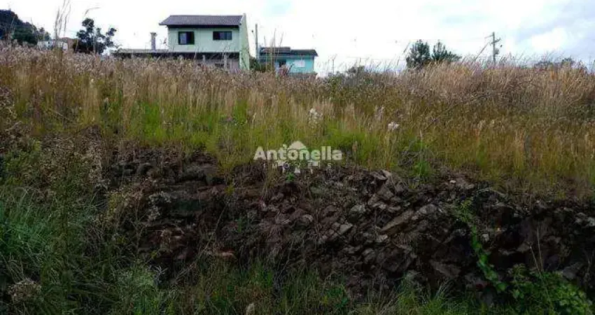 Terreno à venda na Nossa Senhora das Graças, Caxias do Sul 