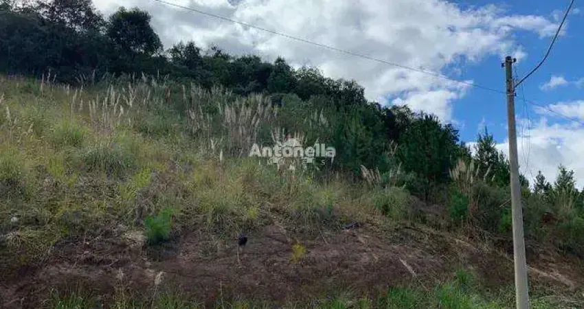 Terreno à venda no Desvio Rizzo, Caxias do Sul 