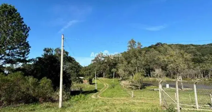Chácara / sítio à venda na Fazenda Souza, Caxias do Sul 