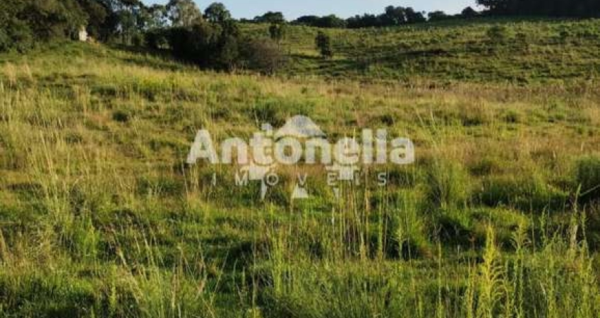 Terreno à venda em Vila Oliva