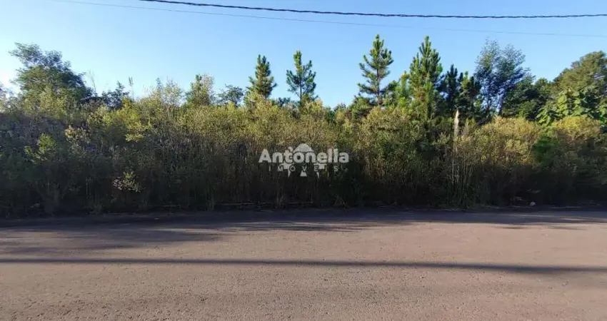 Terreno à venda na Bela Vista, Caxias do Sul 