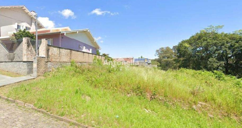 Terreno à  venda no bairro Santa Corona
