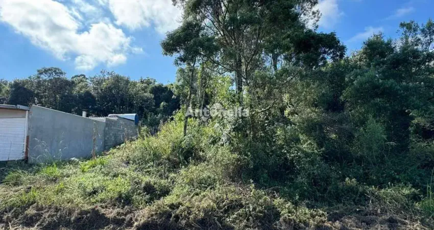 Terreno à venda na Ana Rech, Caxias do Sul 