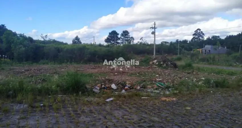 Terreno à venda no Desvio Rizzo, Caxias do Sul