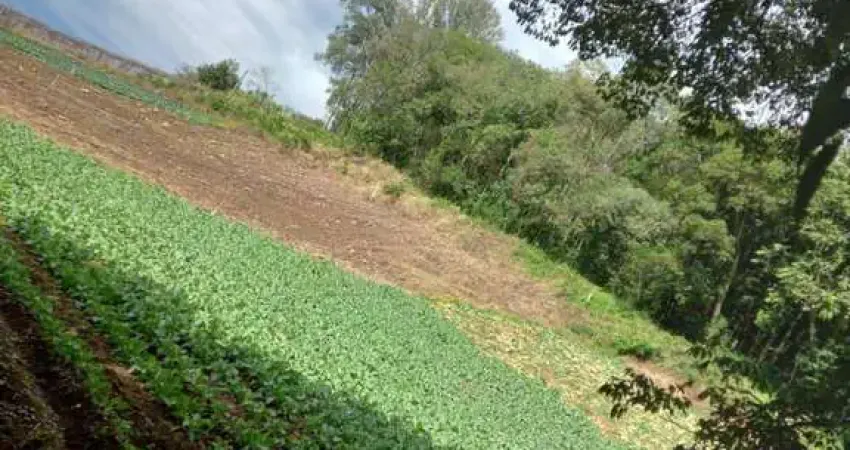Terreno à venda na estrada municipal domingos forner, 2400, Galópolis, Caxias do Sul